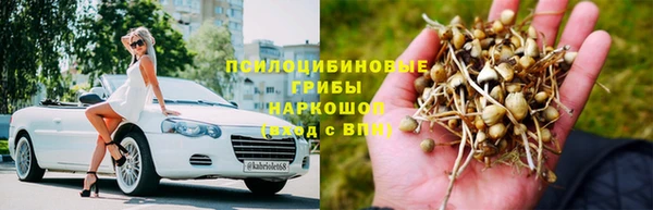 соль курить ск Липки