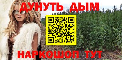 мдпв Аргун