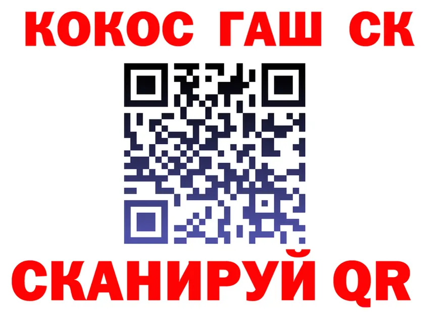 АМФ VHQ маркетплейс shop KRAKEN Архангельск