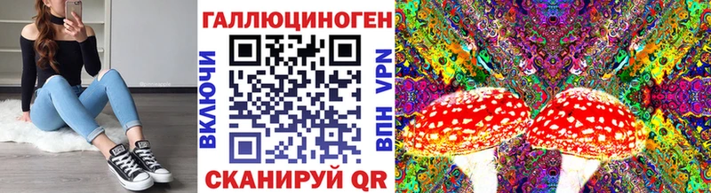закладки  Архангельск  Галлюциногенные грибы мицелий 