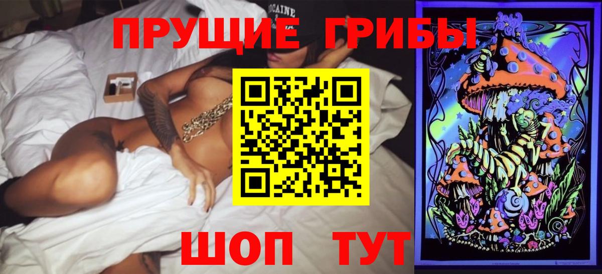 Галлюциногенные грибы Psilocybine cubensis Архангельск
