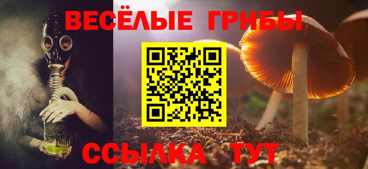 Галлюциногенные грибы Psilocybe  Галлюциногенные грибы Magic Shrooms  Вход с VPN  Архангельск 