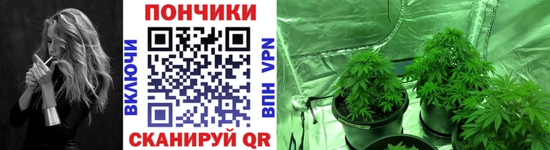 Каннабис Ganja  как найти   Архангельск 